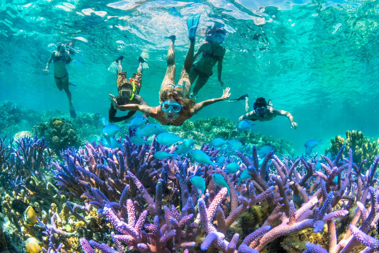 Diving