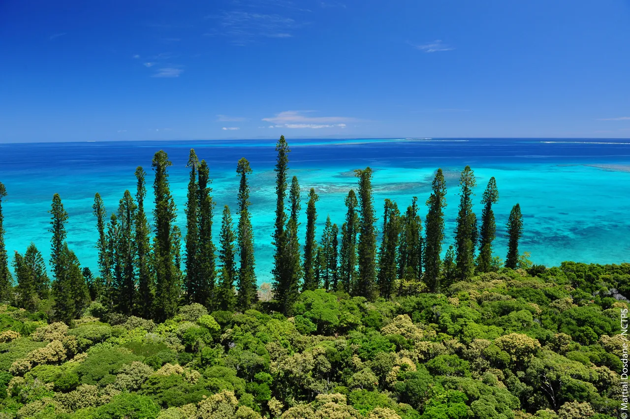 Ile of Pines