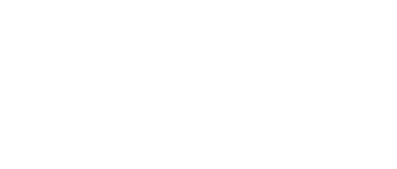 SPTO_Brandmark_White_H