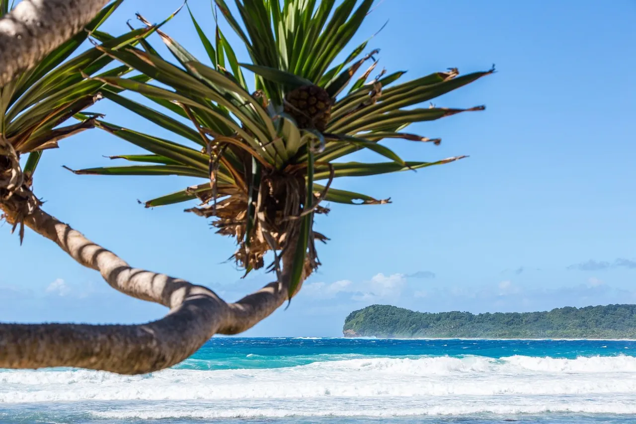 20150502-Jonathan-Irish-American-Samoa-_99A2948