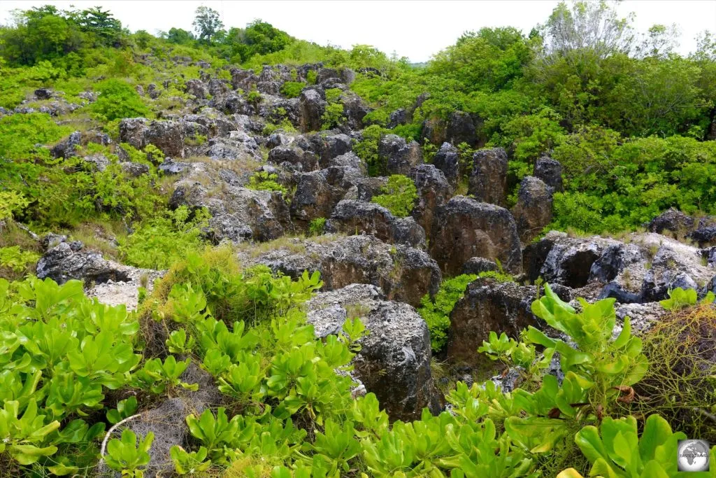 Nauru 005 - Credit Darren McLean from Taste2Travel