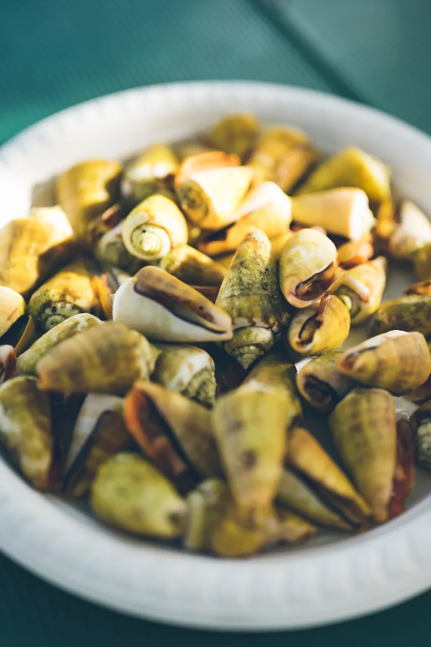 Sea Snails best snacks