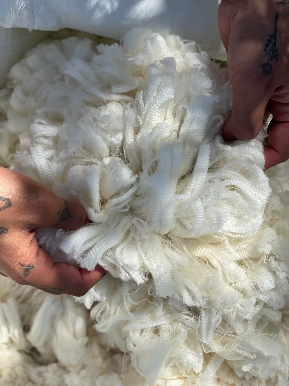 Our Wool