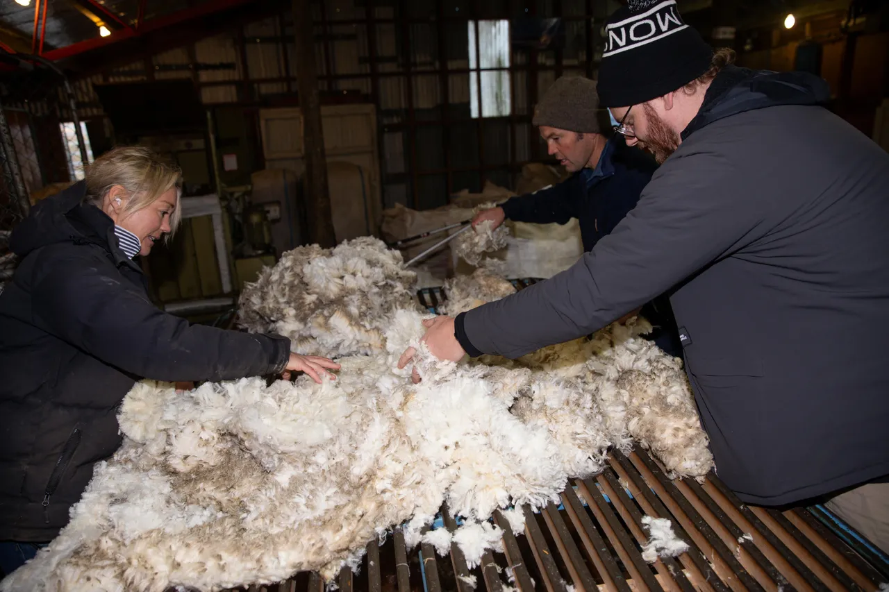 MR_Wool_TuohysGully_Press_c_AaronMadigan_20240724-_18A0175