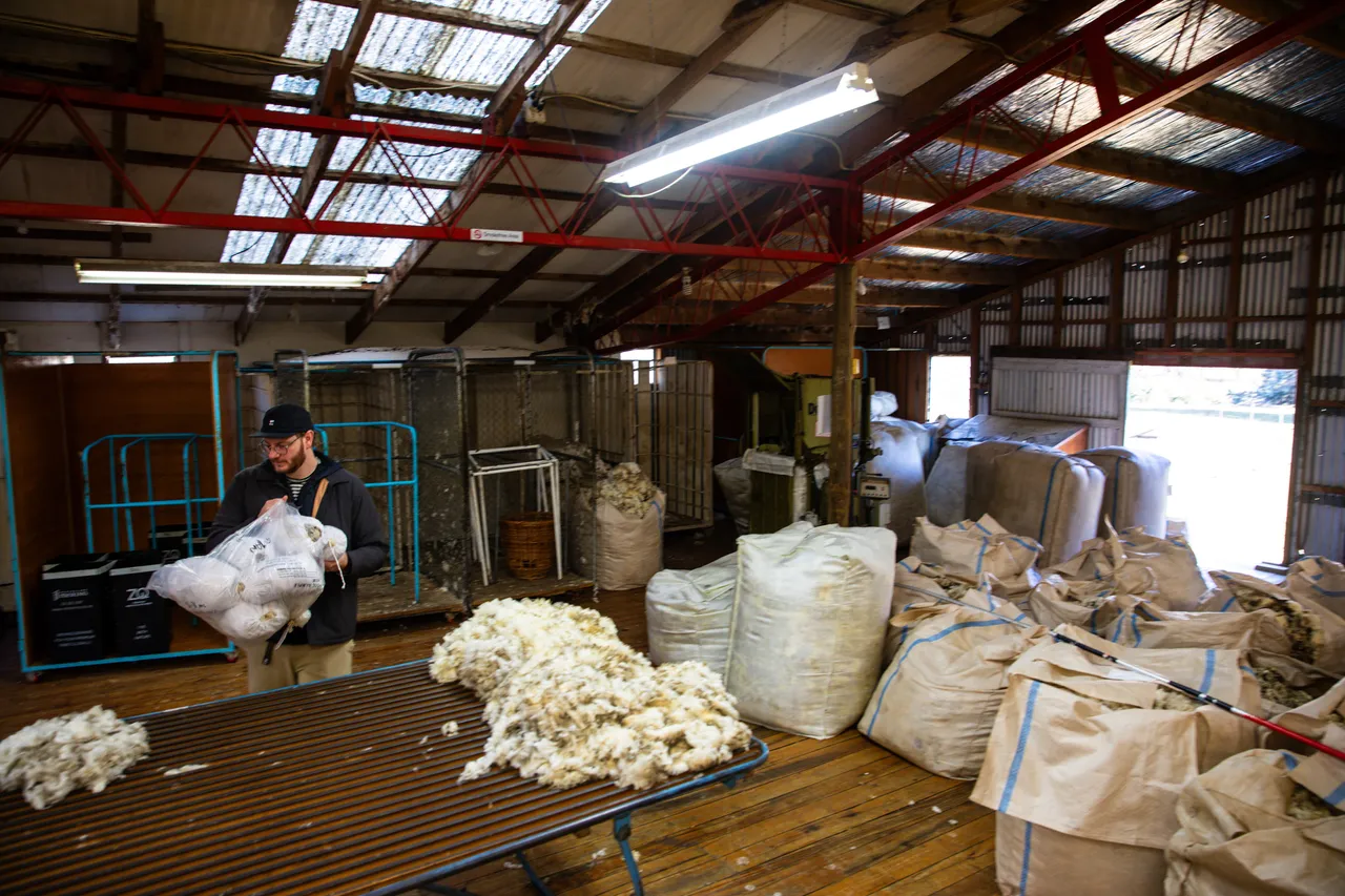MR_Wool_TuohysGully_Press_c_AaronMadigan_20240724-_18A1247