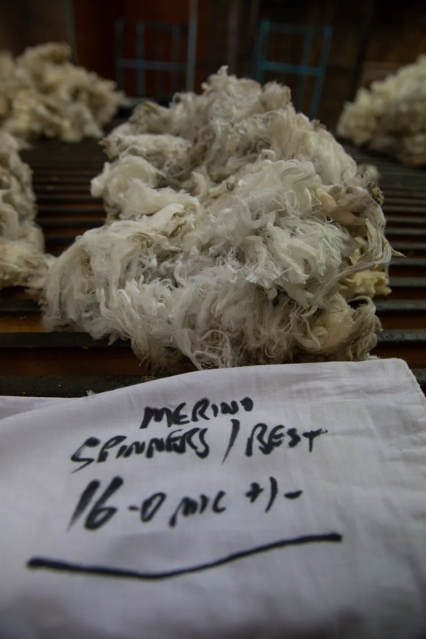 MR_Wool_TuohysGully_Press_c_AaronMadigan_20240724-_18A0190