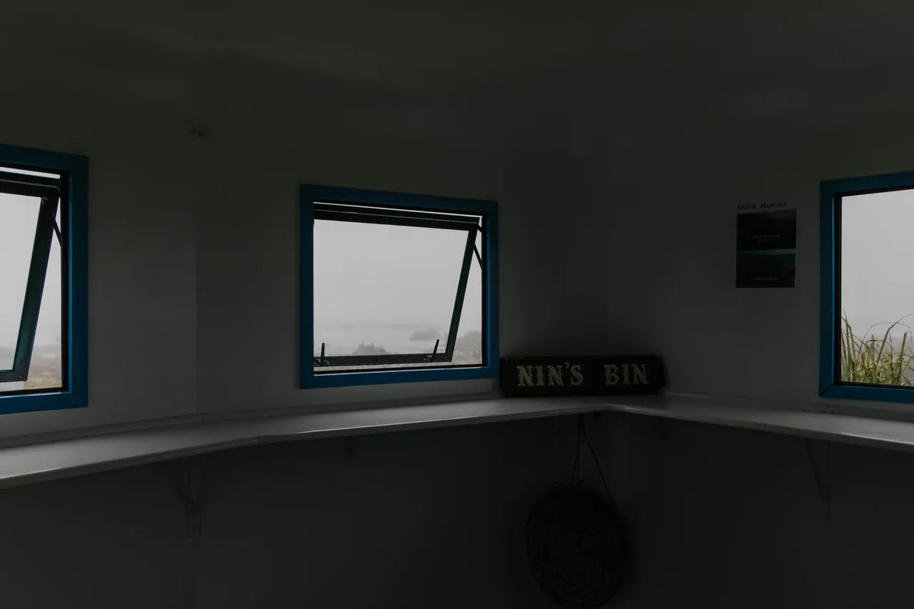Nins_Bin-9