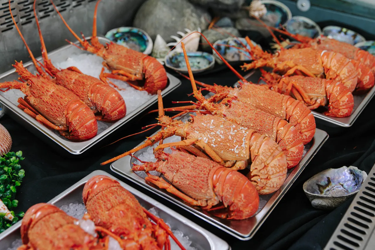 Karaka_Lobster-3.jpg_(dont_use_this_image_in_listing_please)