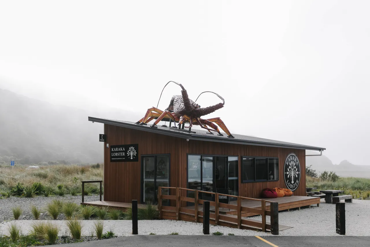 Karaka_Lobster-6