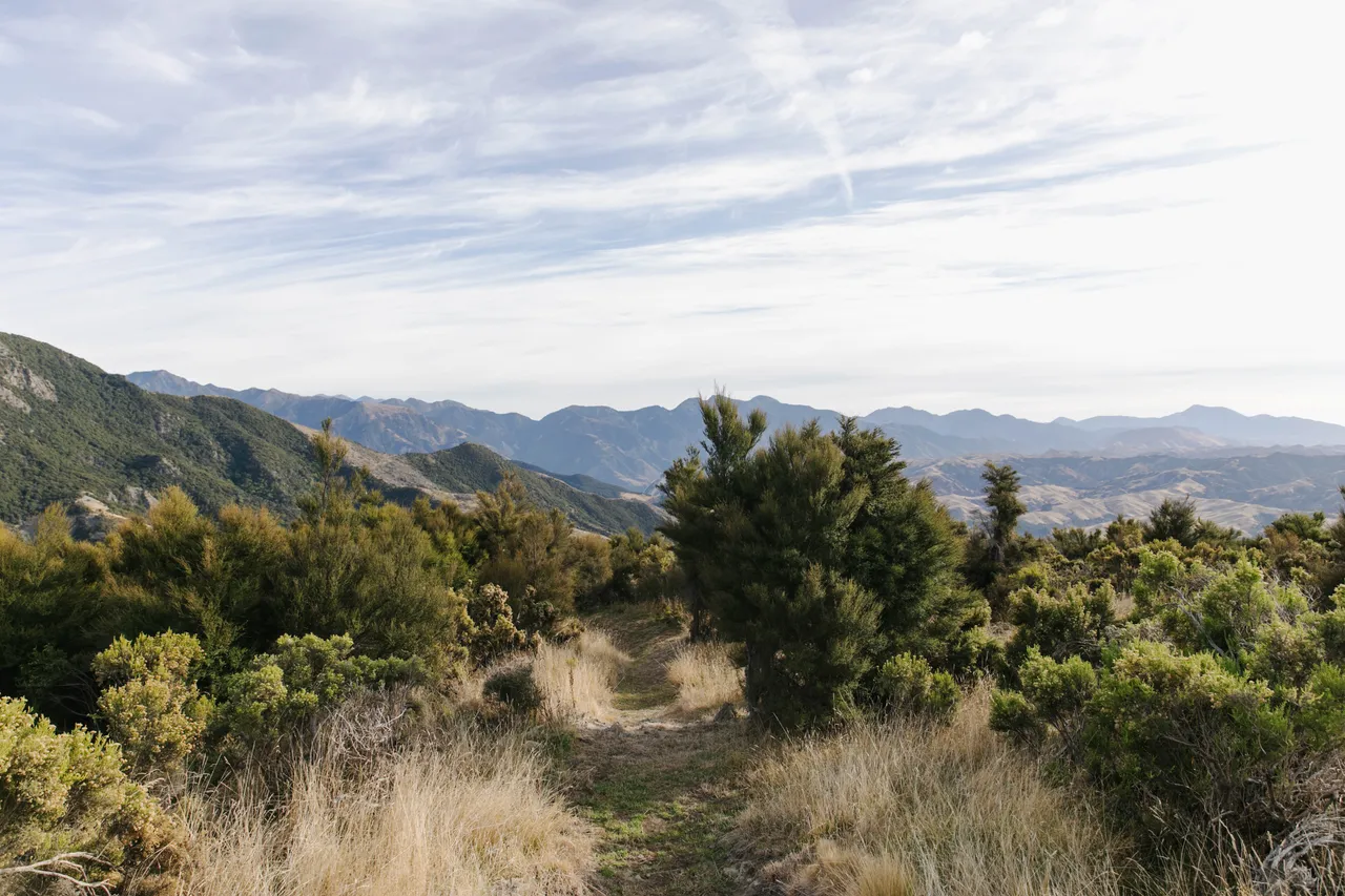 Middle_Hill_MTB-6