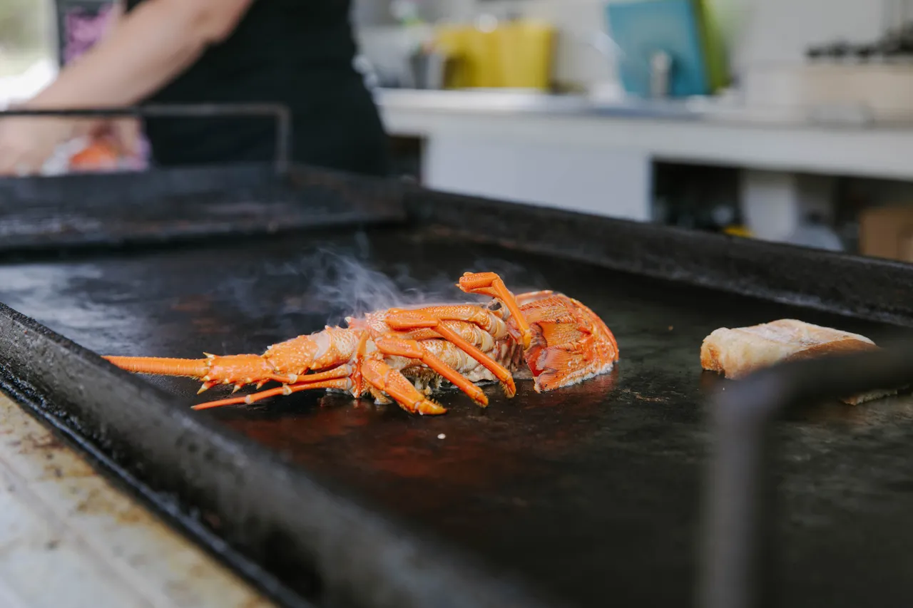 Kaikoura_Seafood_BBQ-2