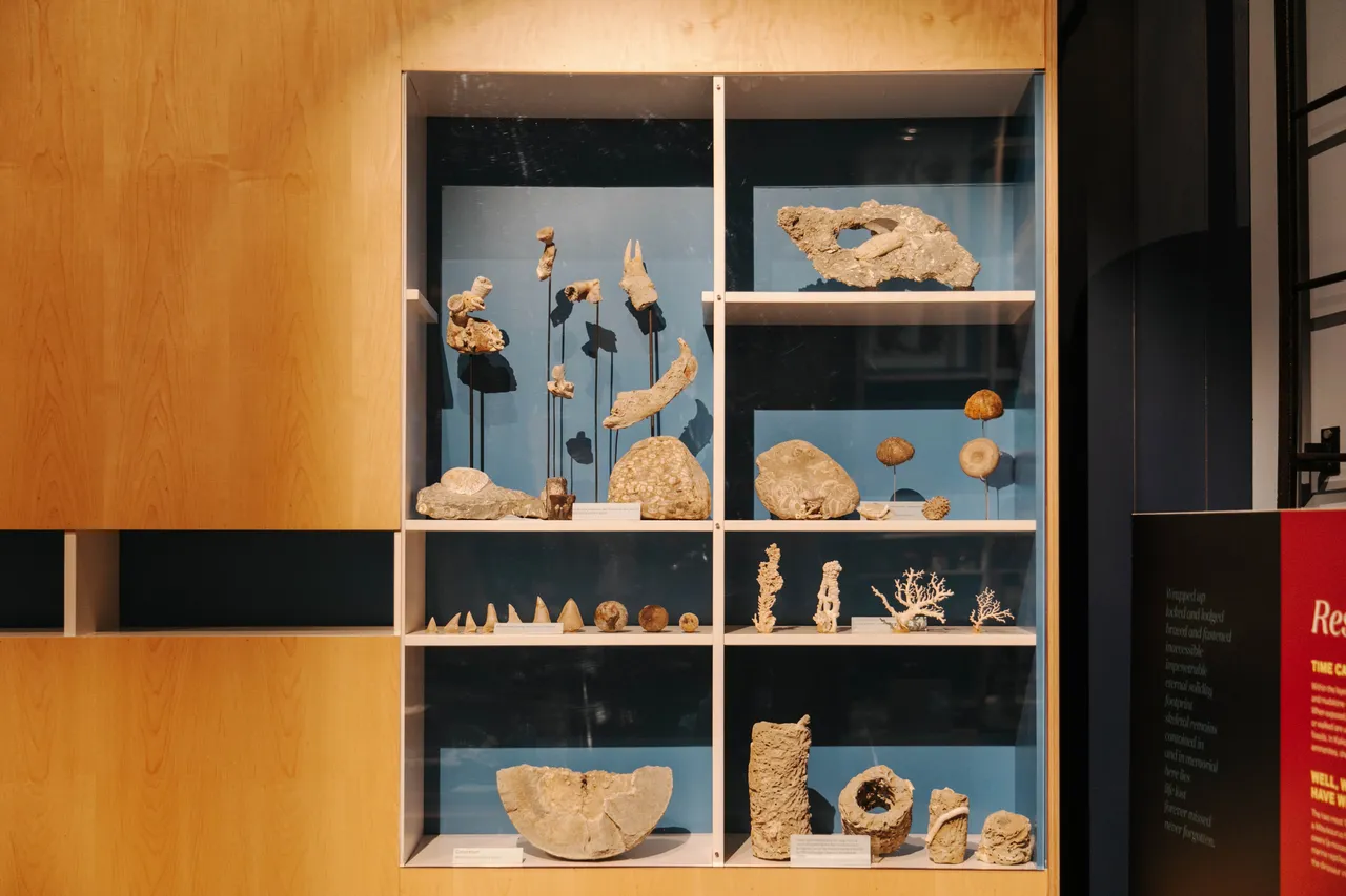 Kaikoura_Museum-4