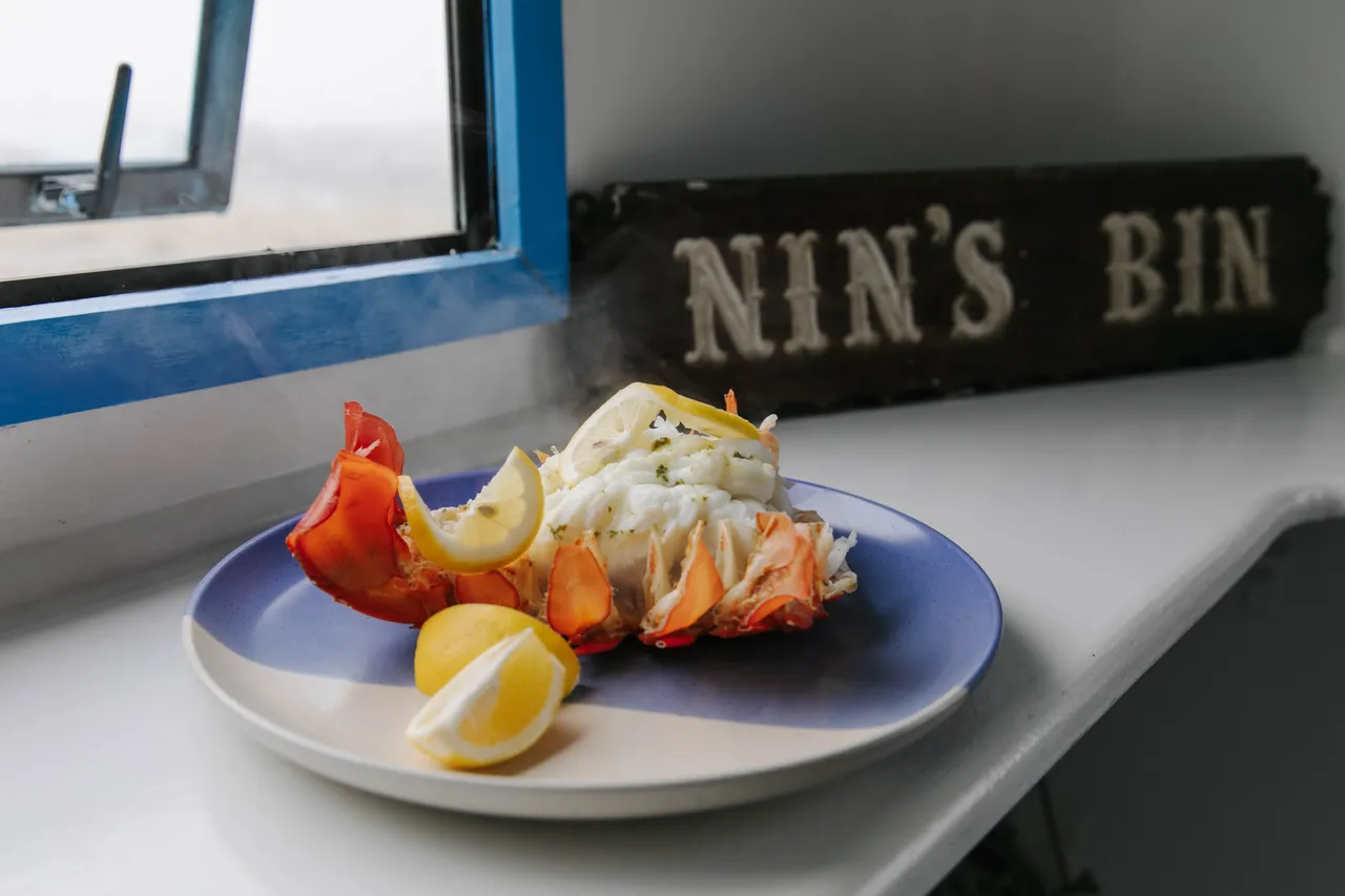 Nins_Bin-10