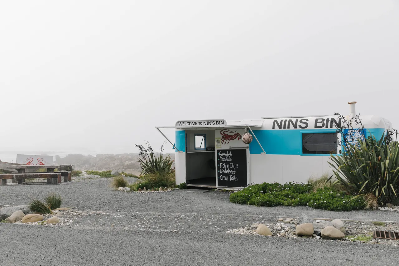 Nins_Bin-3