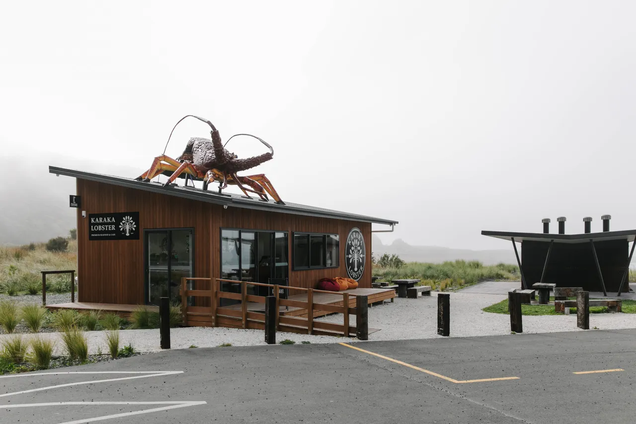 Karaka_Lobster-7.jpg_(dont_use_this_image_in_listing_please)