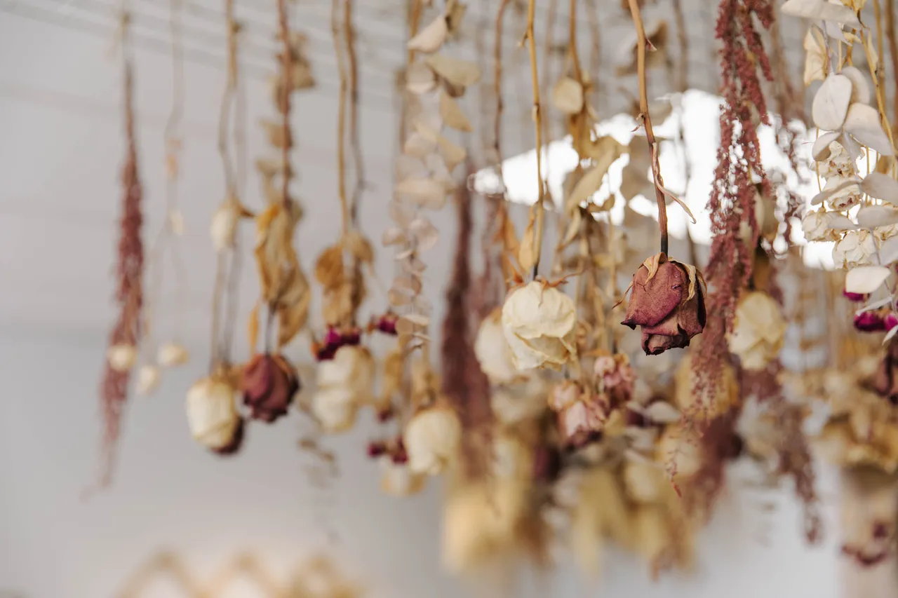 Husk_Home-7