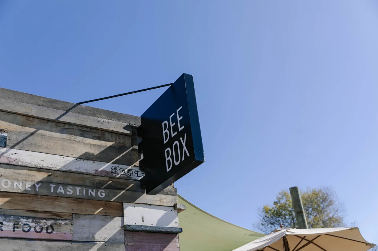 BeeBox-1