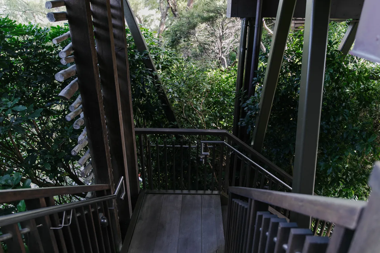 Hapuku_Lodge-4