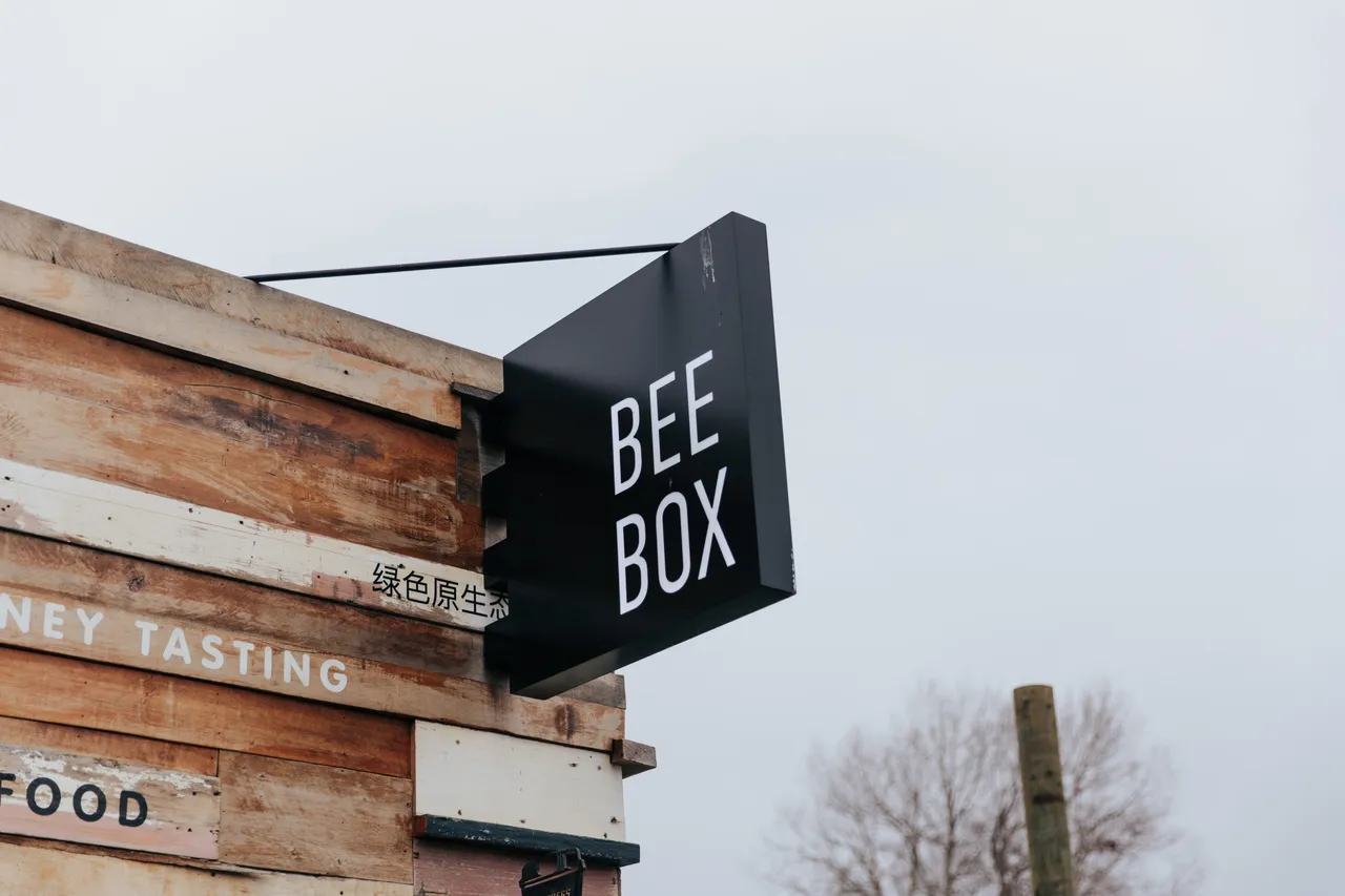 BeeBox 17