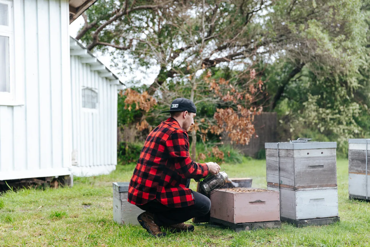 BeeBox 23