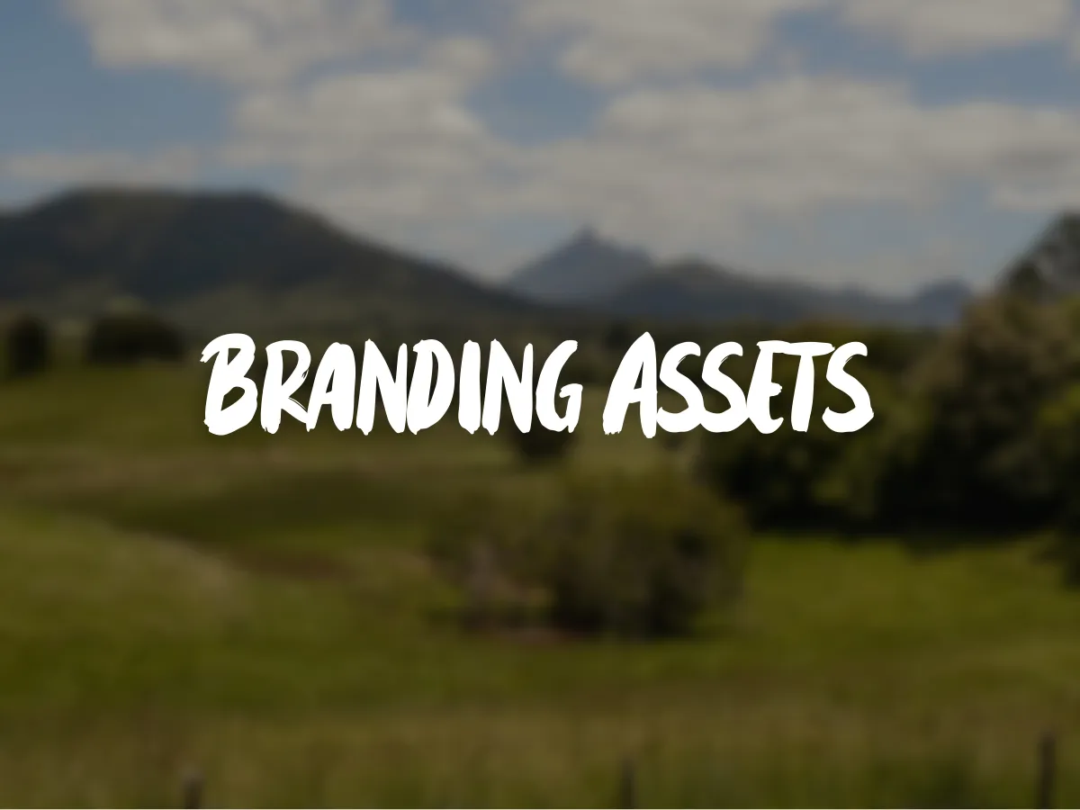 Album cover Branding assets