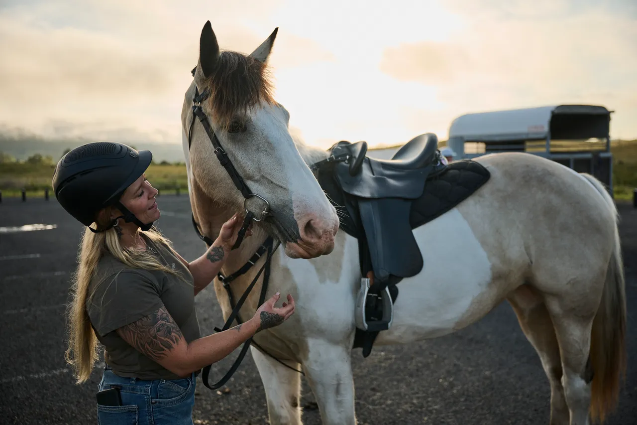 Collection cover Horses
