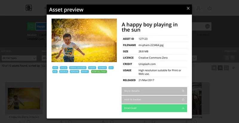 Brandkit Hq Introducing Asset Preview