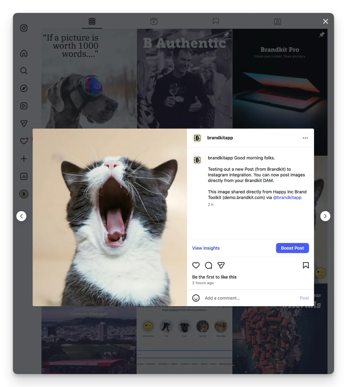 Instagram Post direct from Brandkit