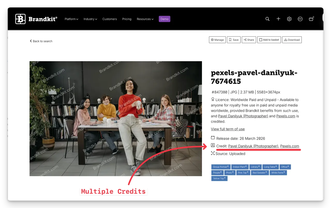 Brandkit.com-multiple-credits screenshot