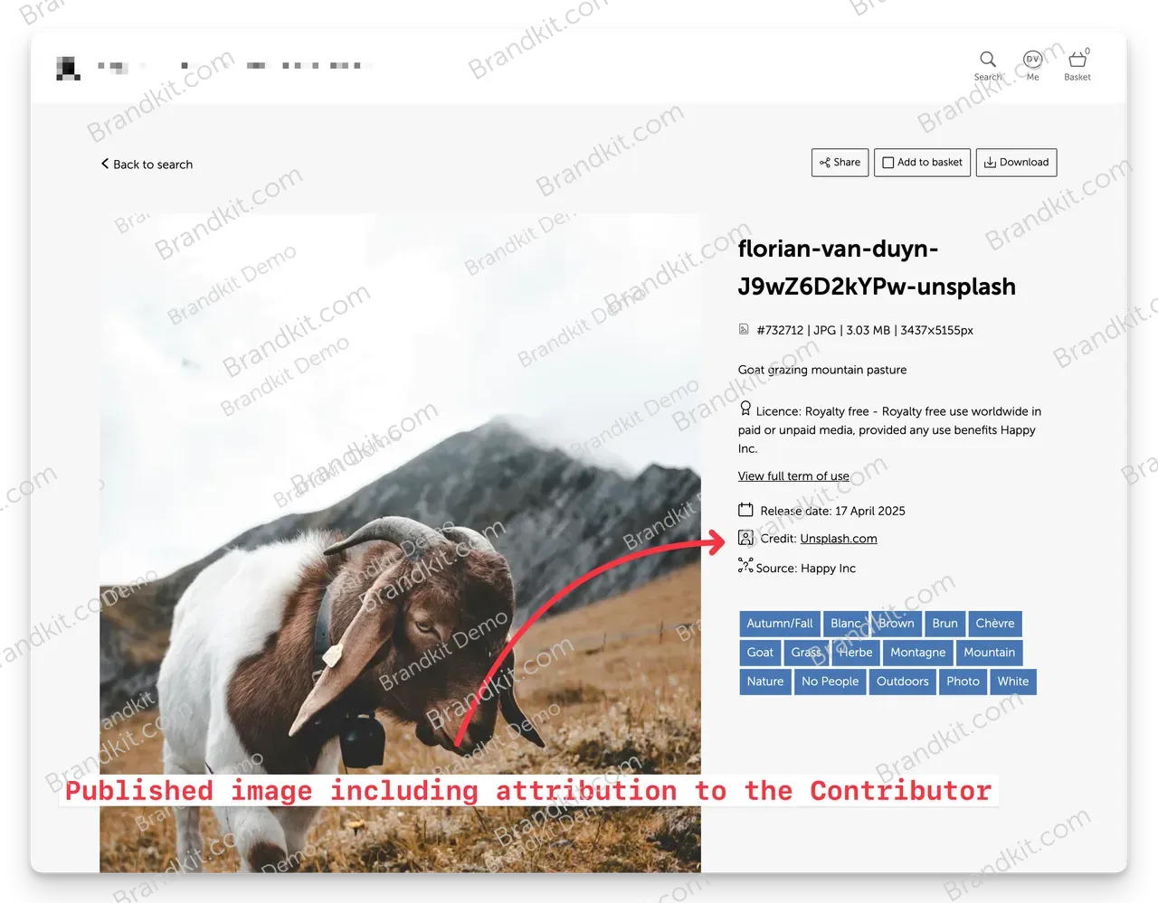 Generic-Contribute-published-asset-with-credit@2x