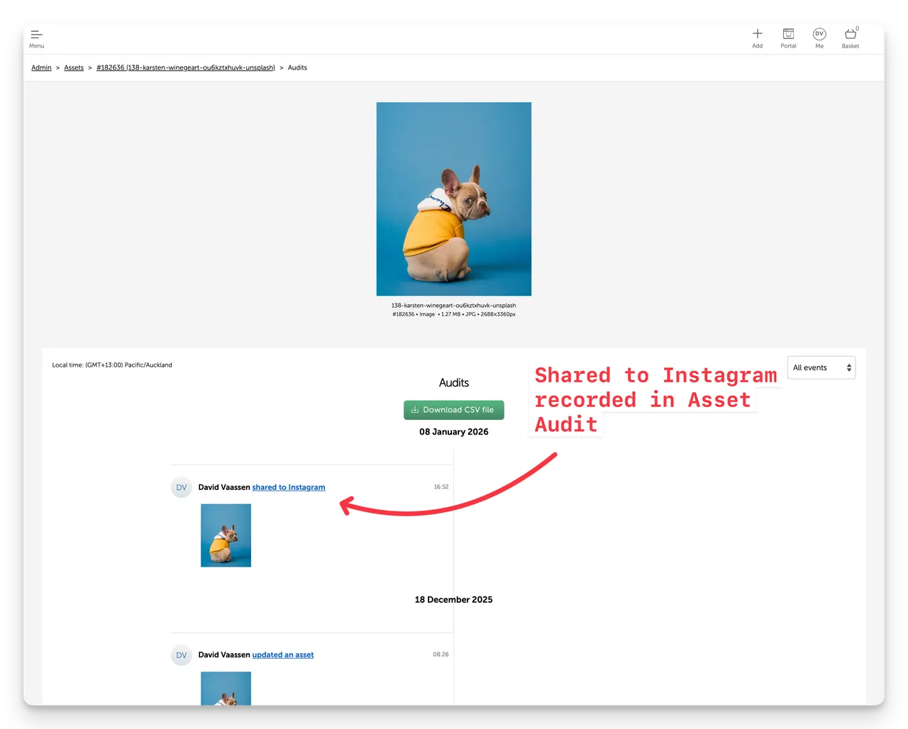 brandkit shared to instagram asset audit