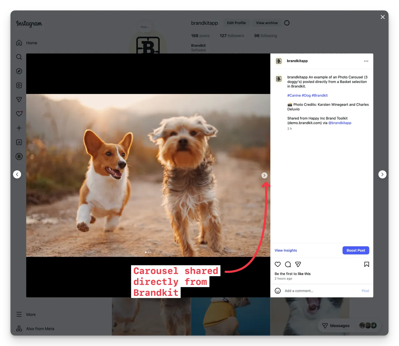 Instagram carousel example shared from Brandkit@2x