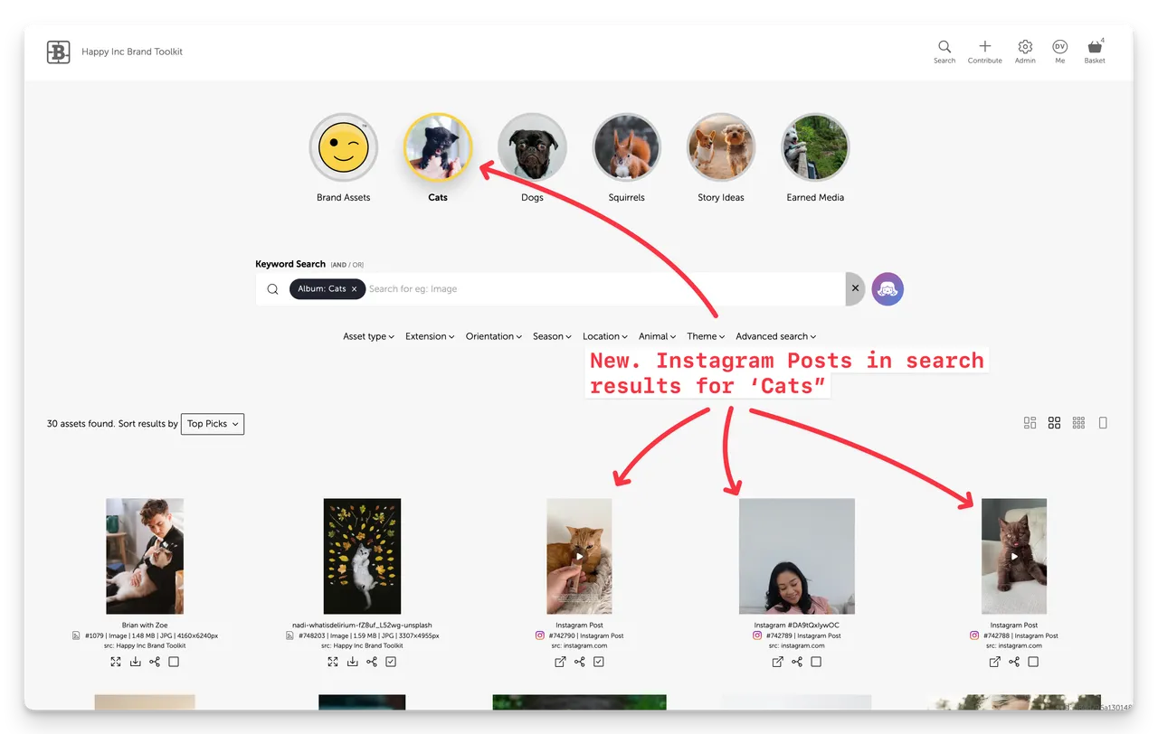 bk-instagram-posts in search