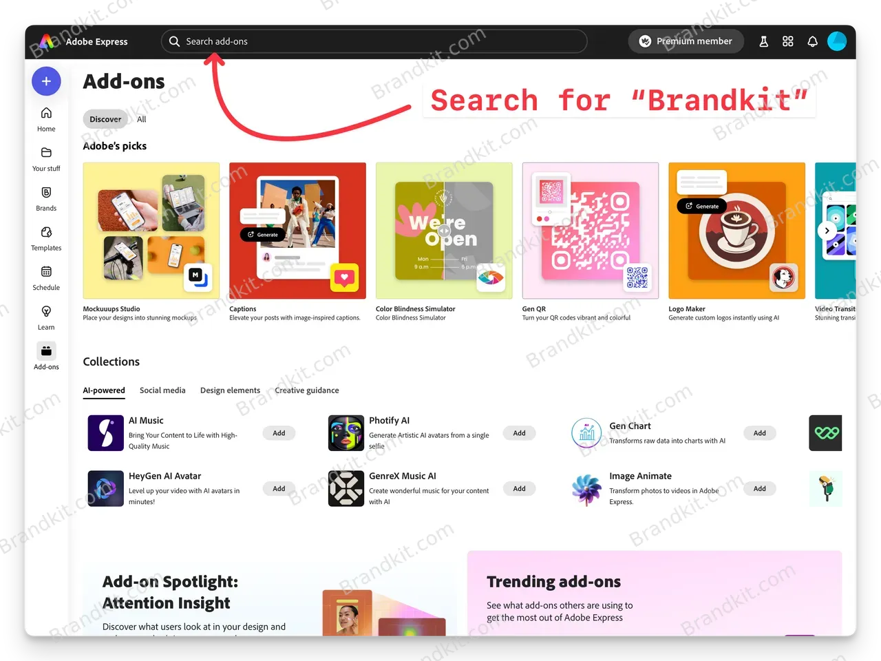 adobe-express-add-on-search 2@2x