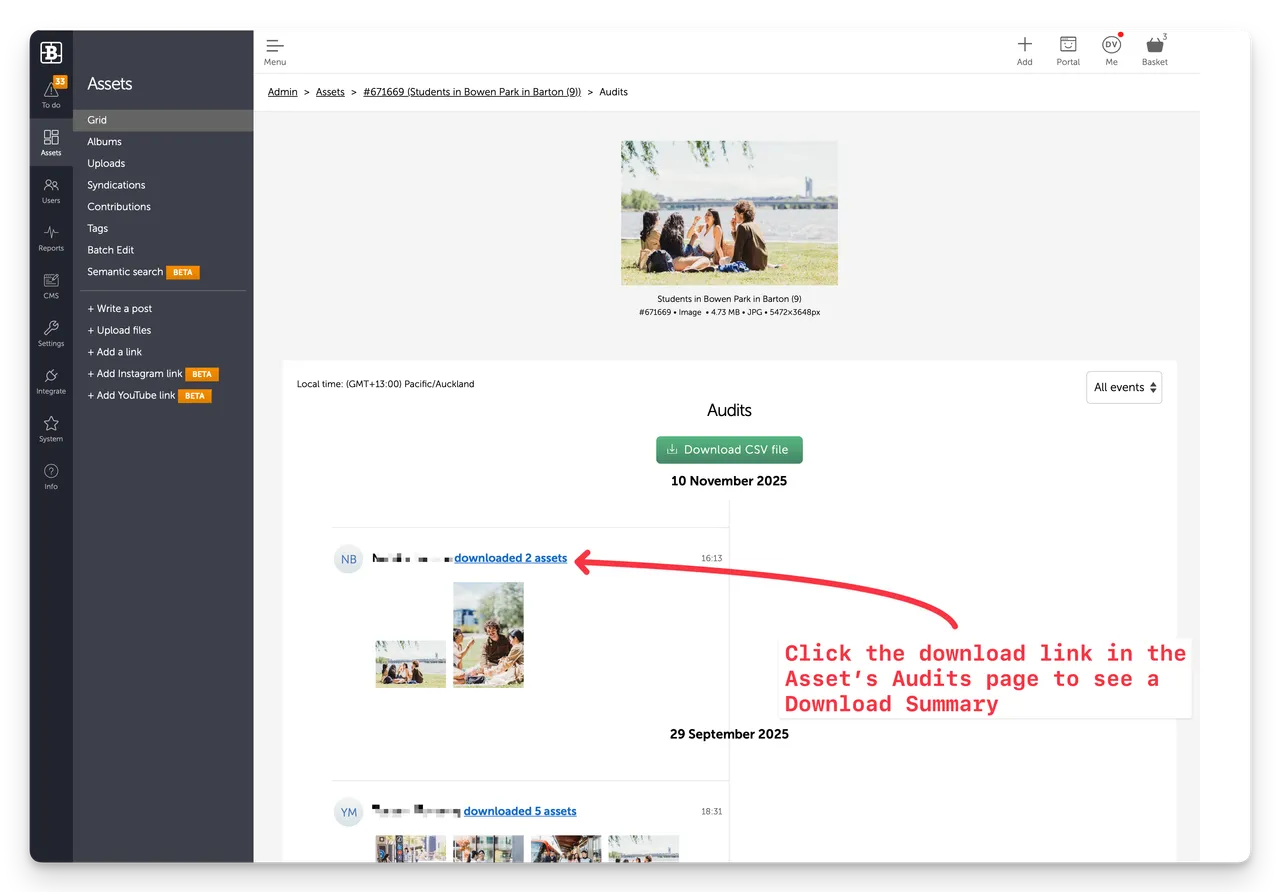Brandkit asset audits download link example Brand Canberra
