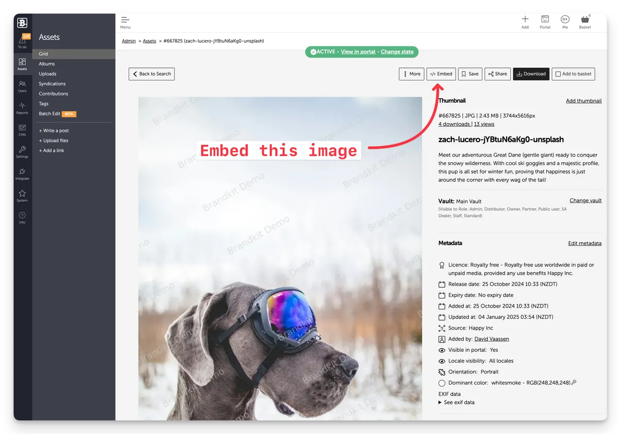 BK2-embed-screen-1