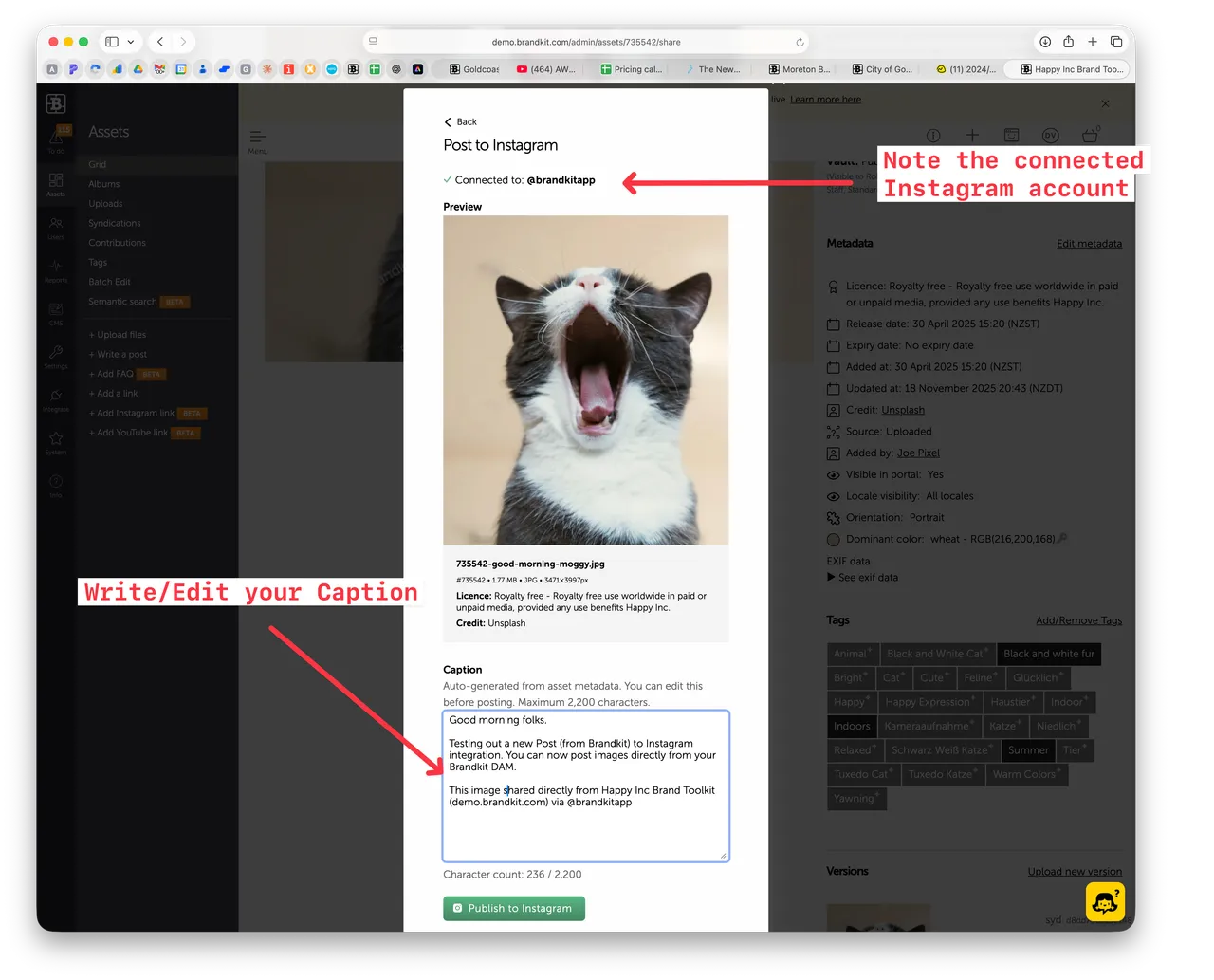 Brandkit share to instagram composer 1