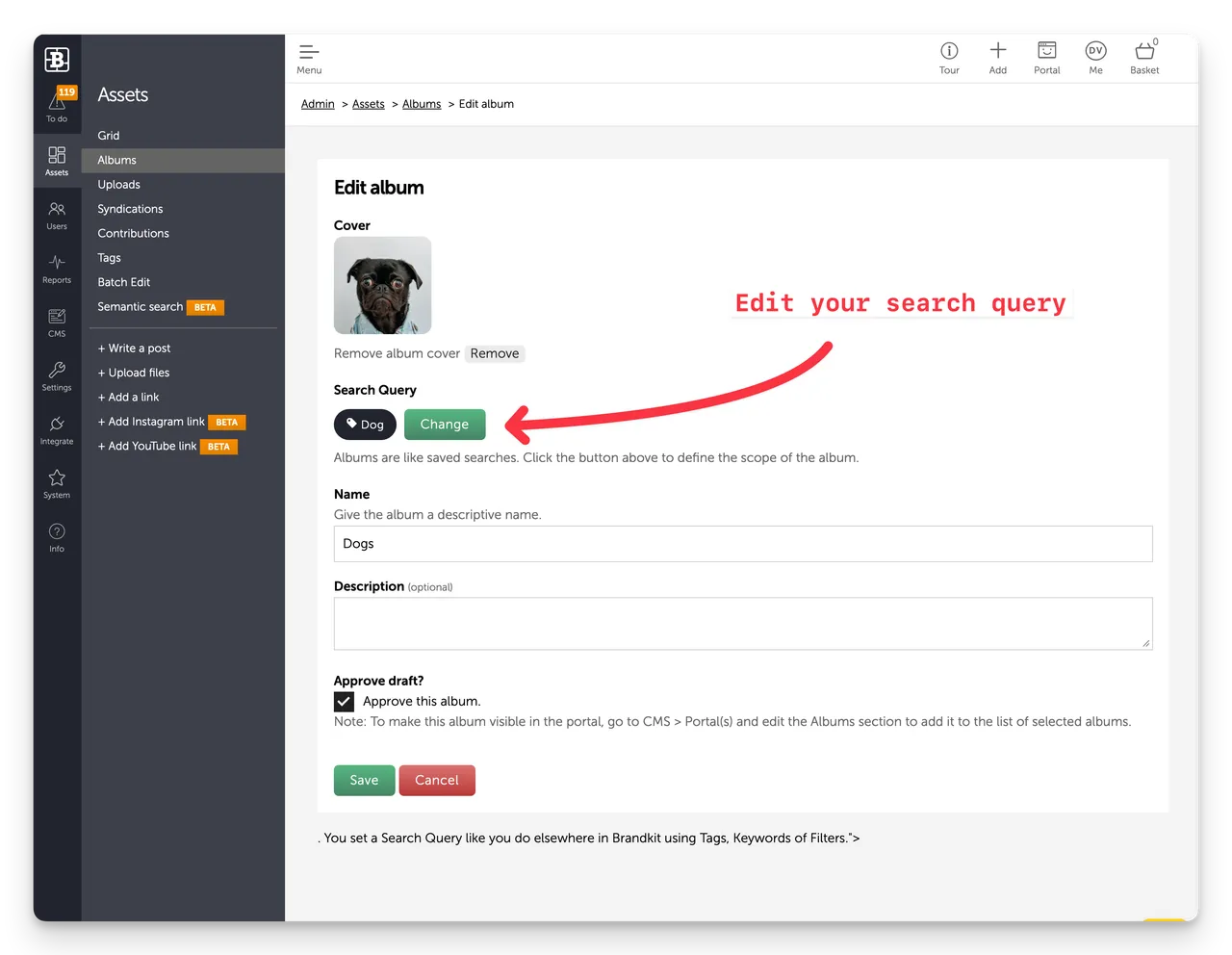 Brandkit Album Search Query settings