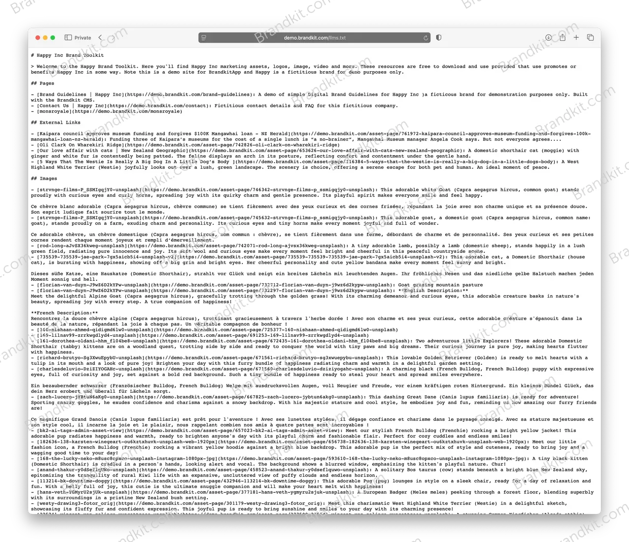 demo-llms-dot-txt@2x