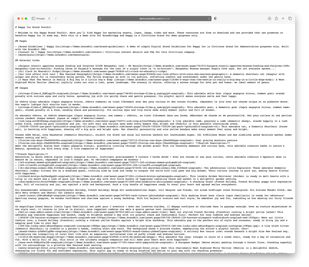 demo-llms-dot-txt@2x
