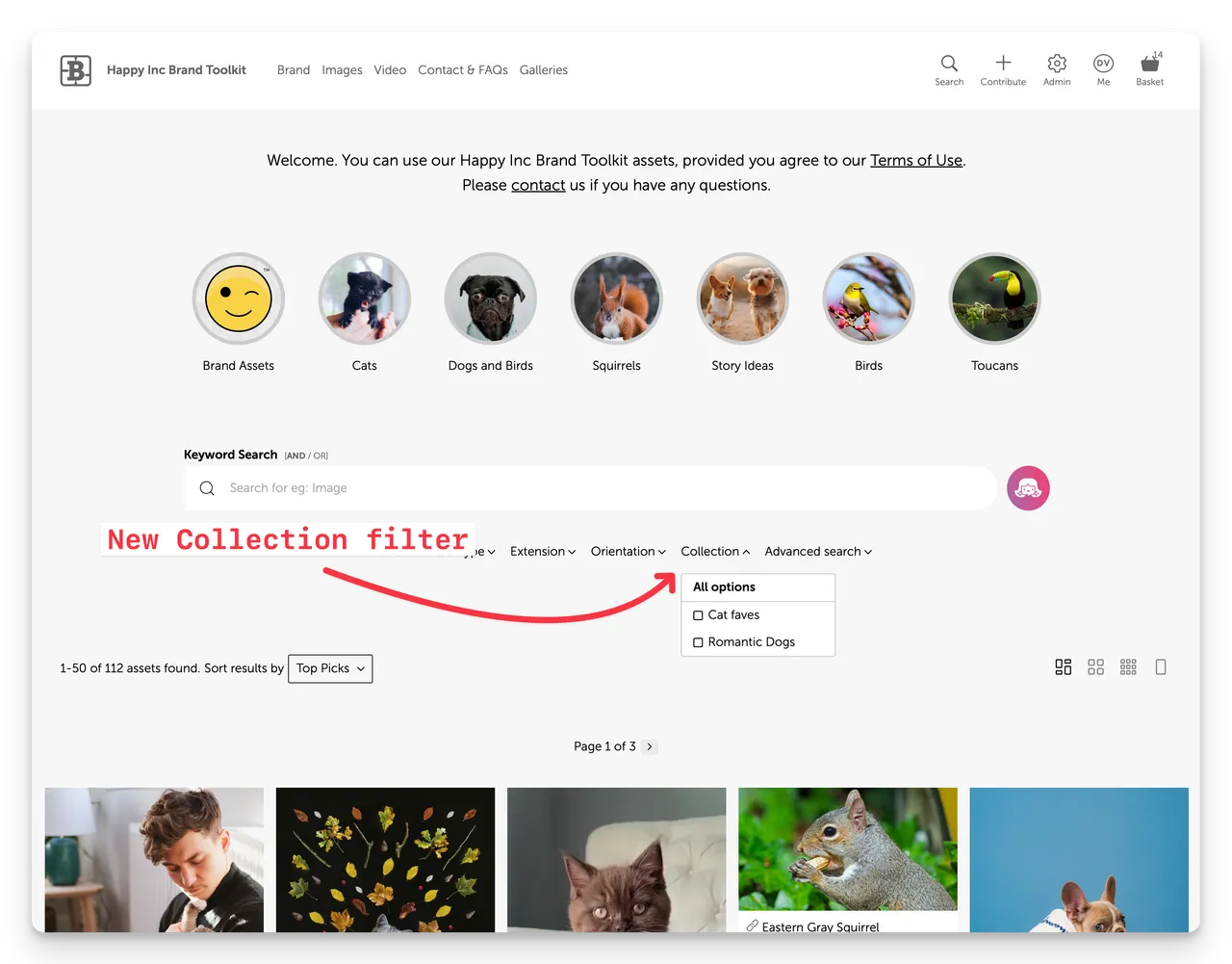 BK Collections Filter@2x