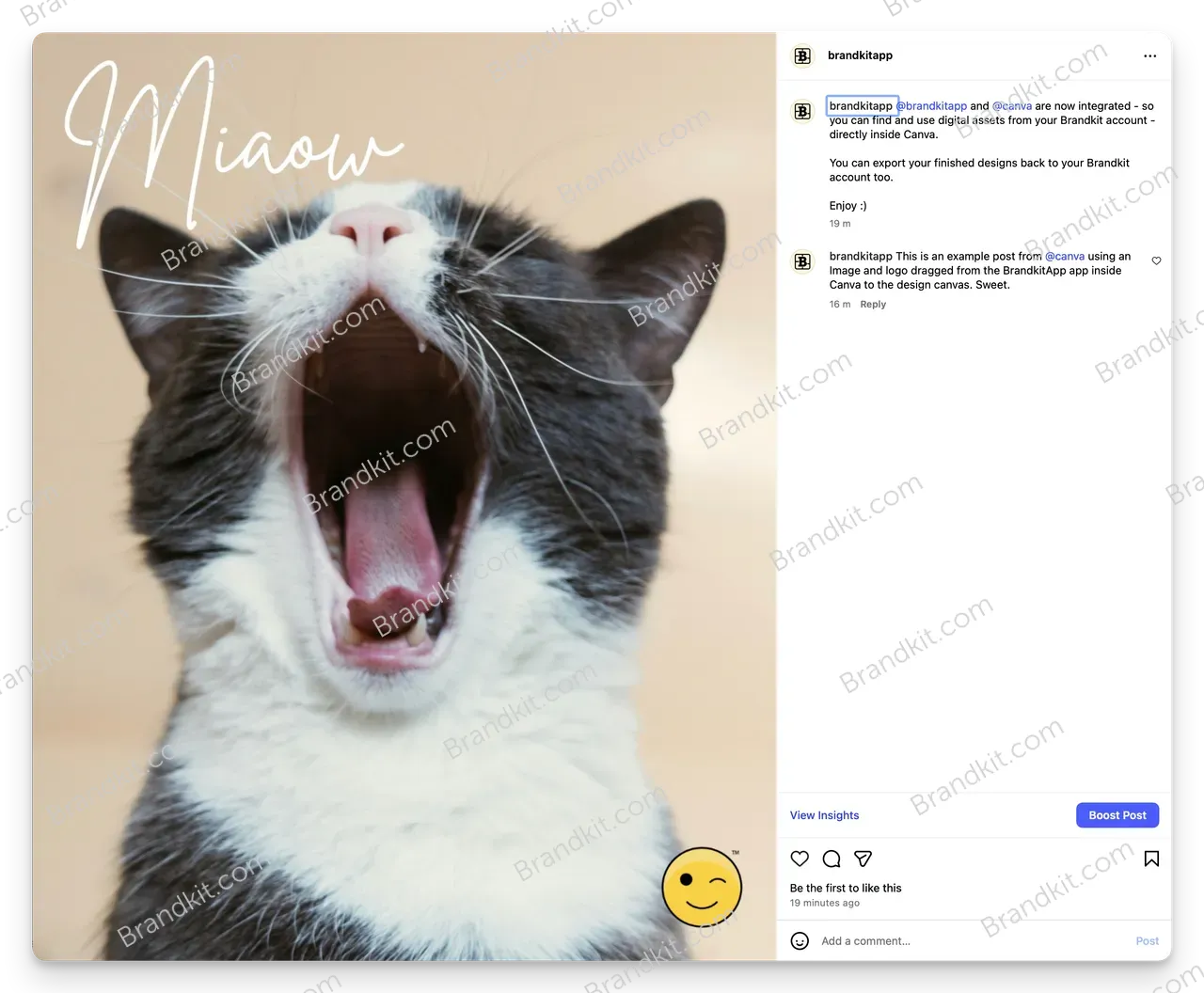 Instagram Post Example@2x