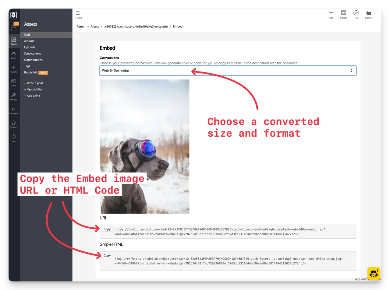 BK2-embed-screen-2