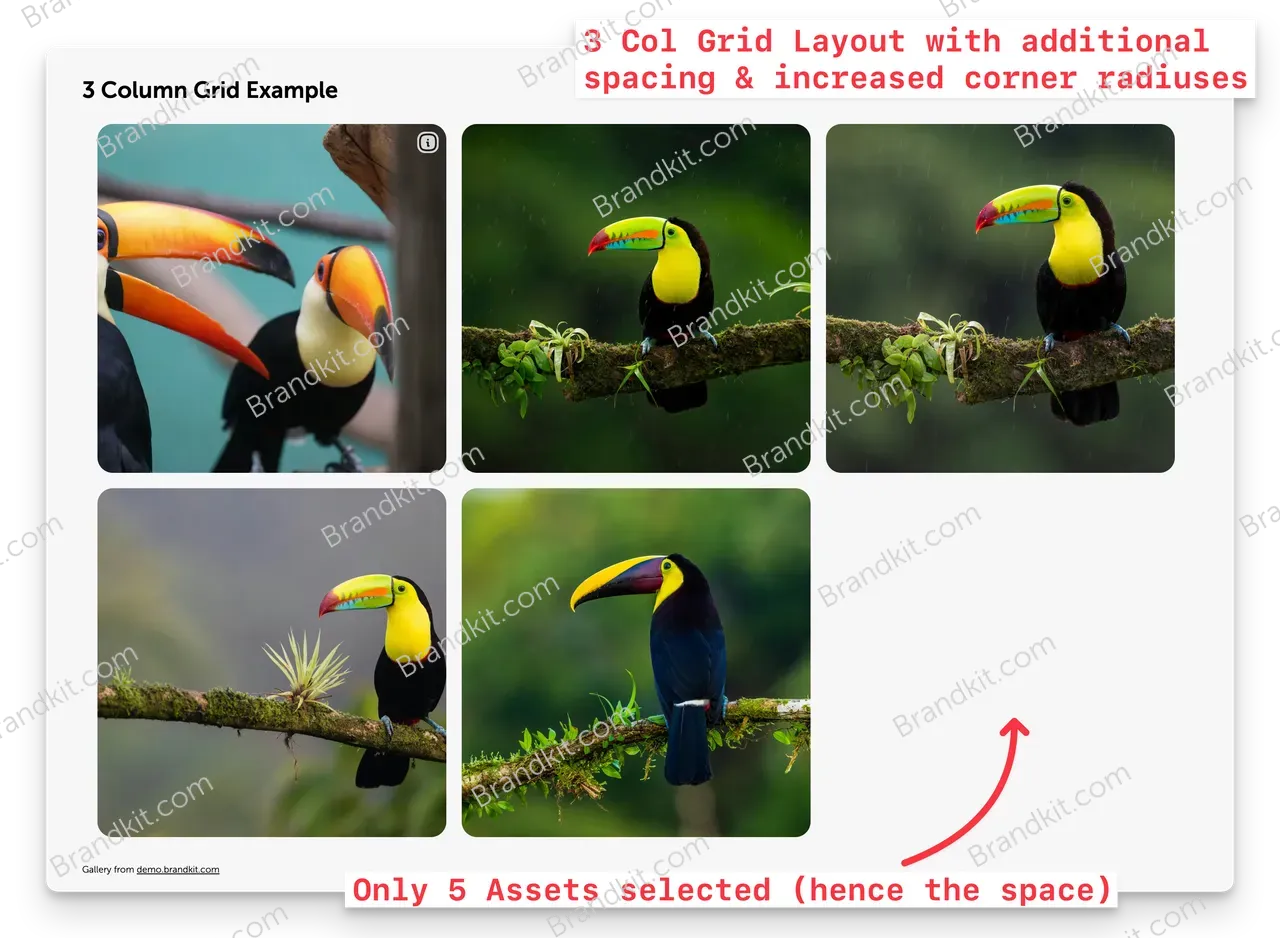 BK Gallery Grid Layout example