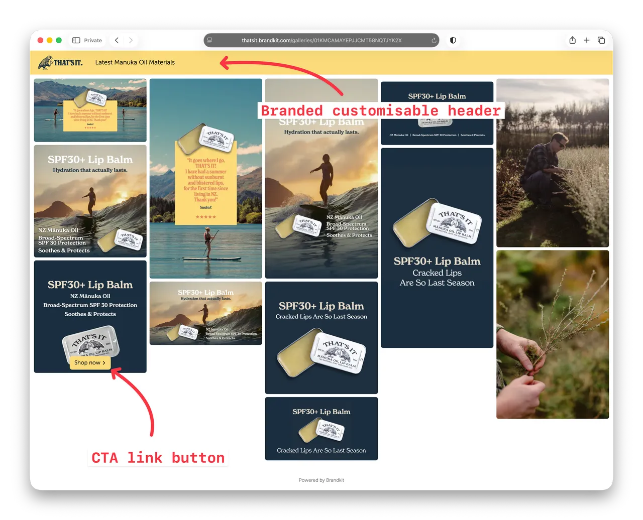 Brandkit and Thats It gallery example v2