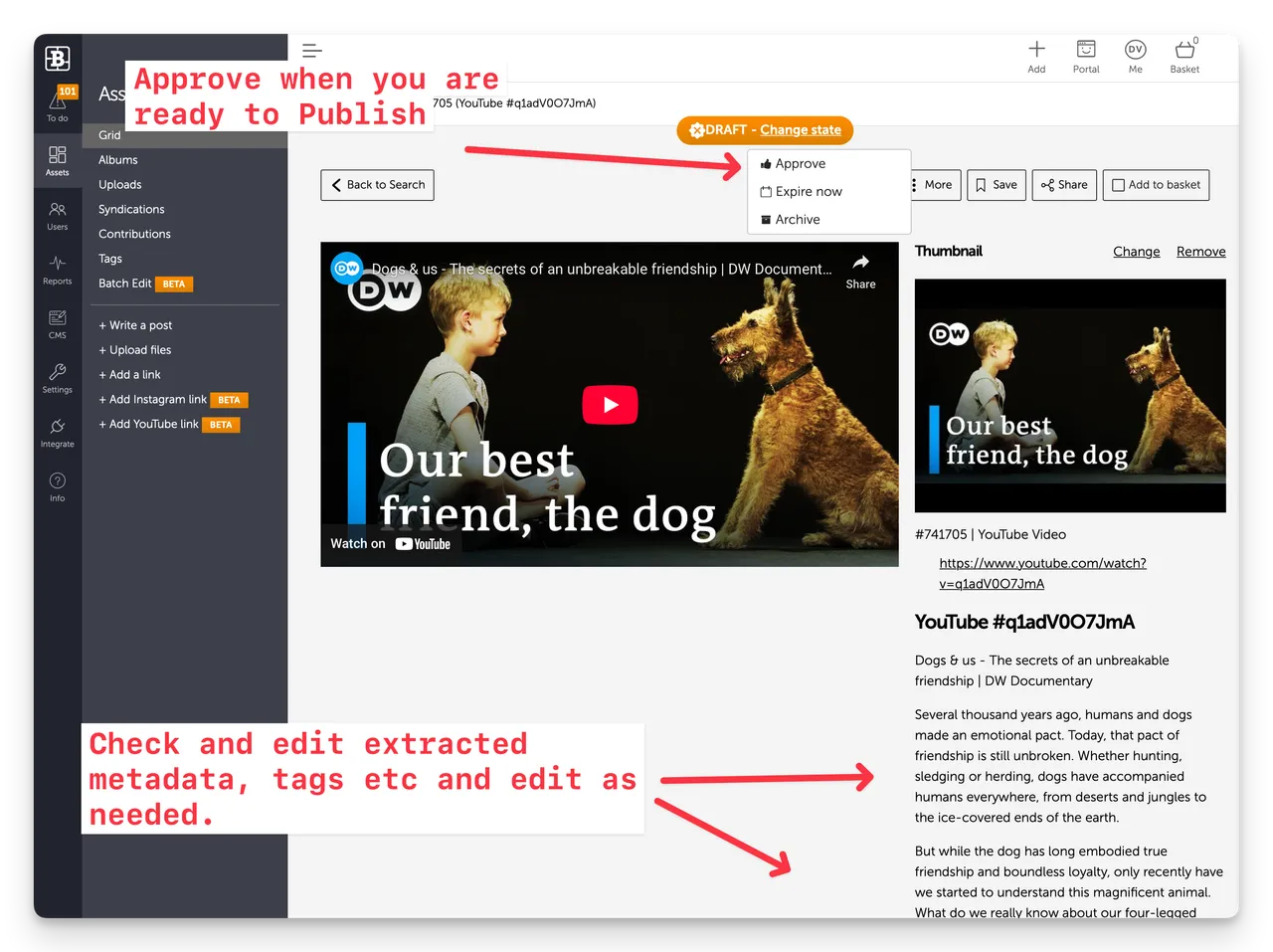 bk YouTube draft asset