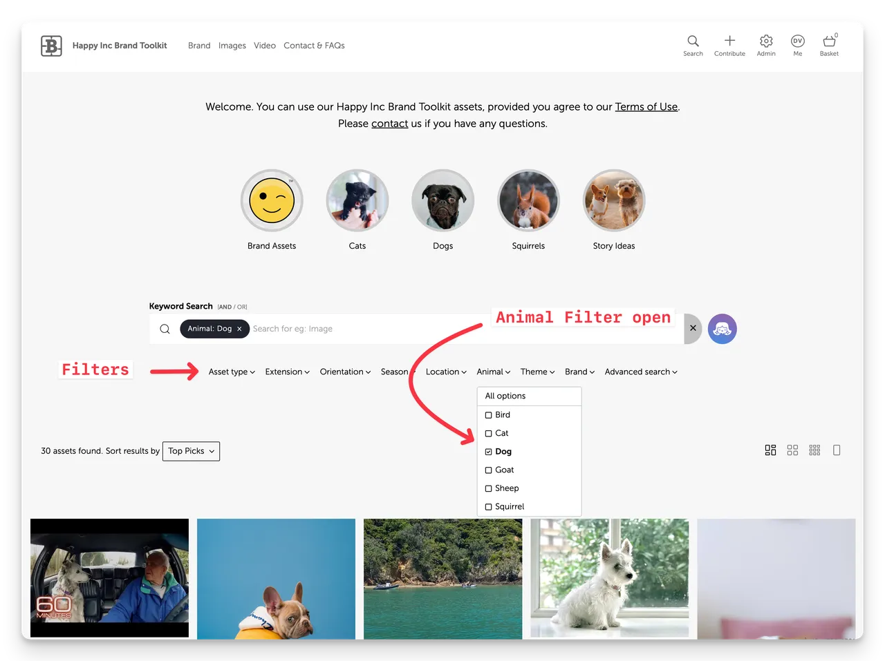 Brandkit Portal Search Filters