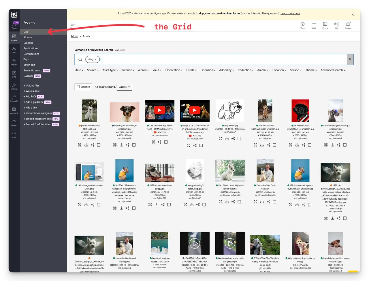 Brandkit Asset Grid@2x