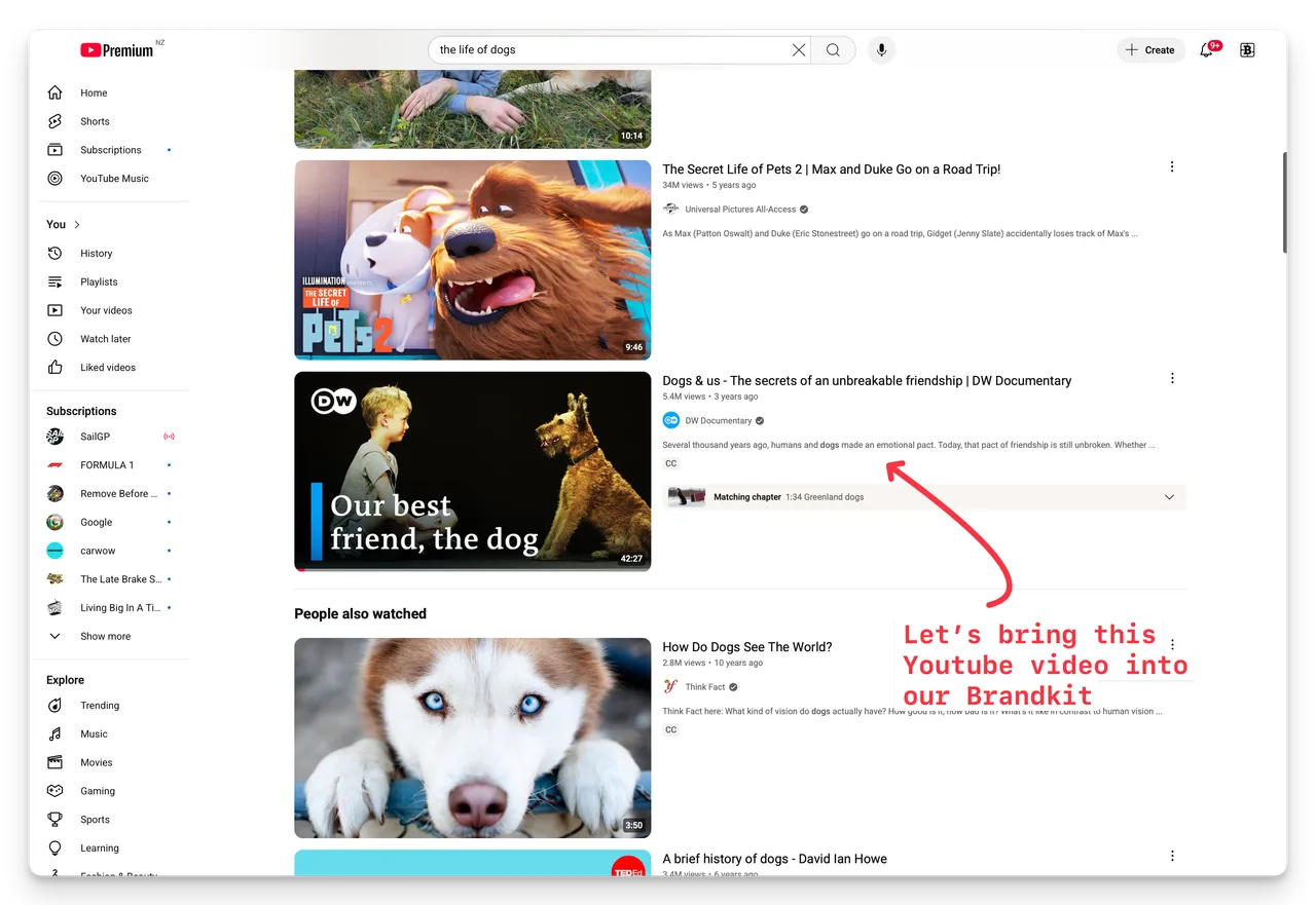 youtube search@2x