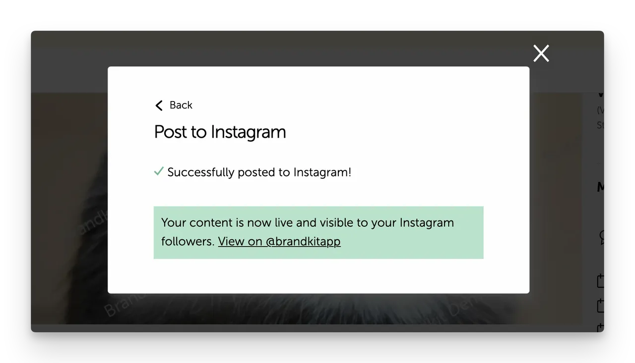 Brandkit publishing to Insta success message@2x